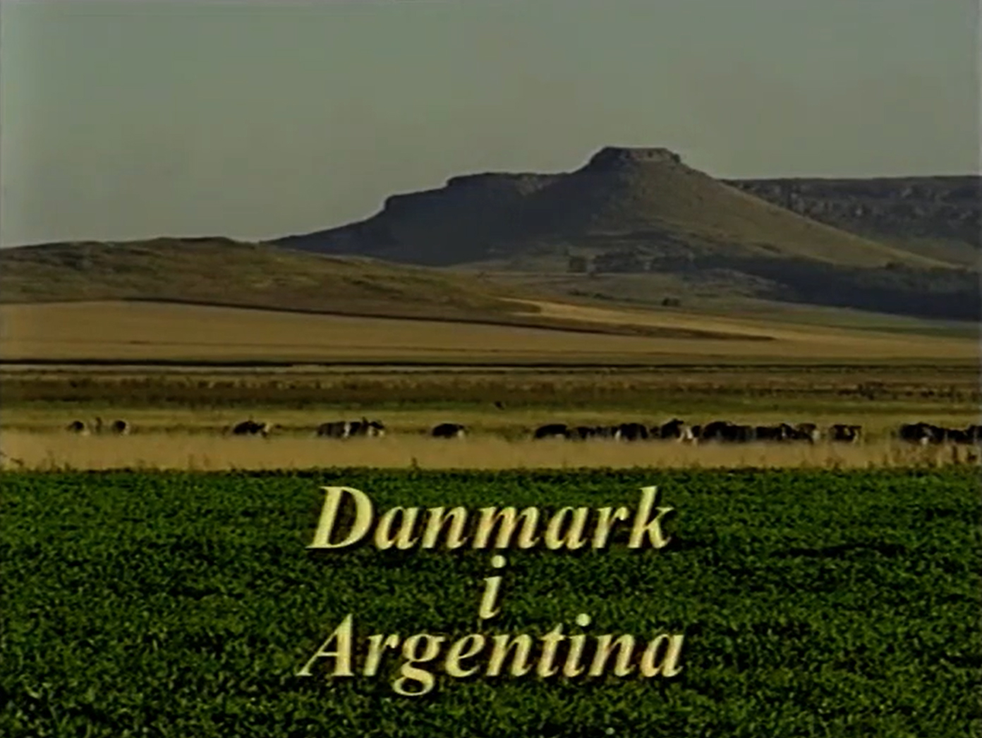 TV - Danmark i Argentina